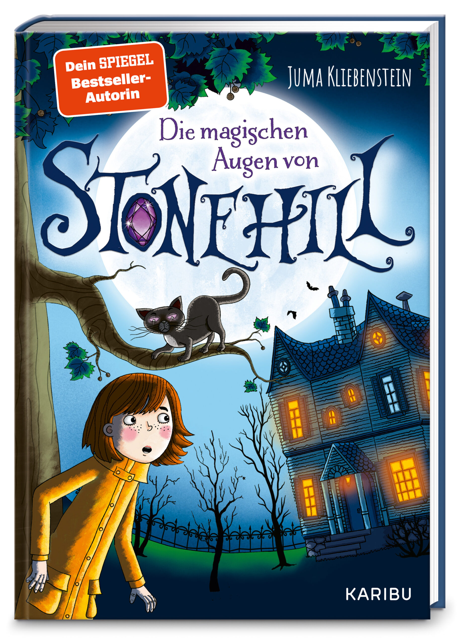 Die magischen Augen von Stonehill - karibubuecher.de