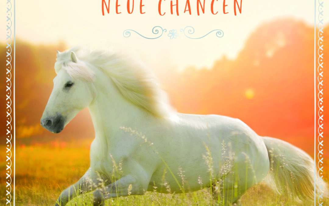 Mittsommerwind – Neue Chancen