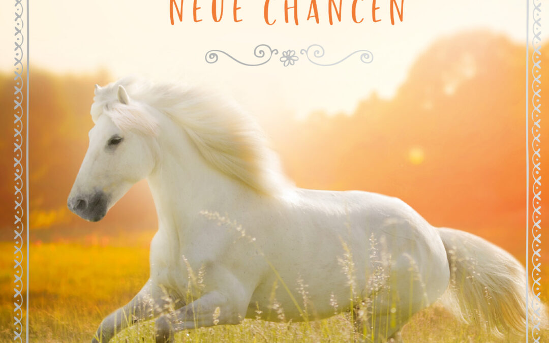 Mittsommerwind – Neue Chancen